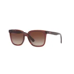 KIPLING - Gafas de Sol KP4068 Marrón