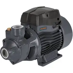 TRUPER - Motobomba Bomba Eléctrica Periférica De 3/4 Hp, 55 Metros