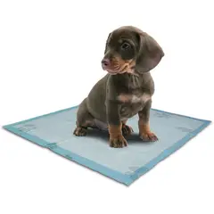 HALLY PET - 60 unidades de tapetes entrenador para perros azul.---_.