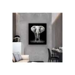 EKONOMODO COLOMBIA - Cuadro elefante cuerpo completo 70x50x5