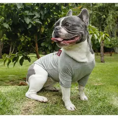 MARVEL - Camiseta para mascota avengers Talla XL