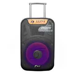 JYR TECHNOLOGY - Cabina activa recargable 2500w j5236 / 15?