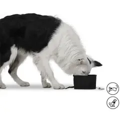 TOTTO - Bebedero portatil vito talla: u