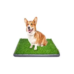 HALLY PET - Tapete entrenador Grande con grama 76cm x 51cm