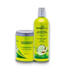 HERBALFLUSS - Shampoo reparador 500ml tratamiento reparador 500ml