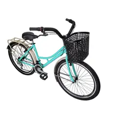 ATILA - Bicicleta Urbana Playera Parrilla y Canasta Rin 26 D/P