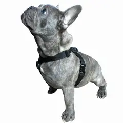 PRIMORDIAL - Arnés en reata talla s para caminatas - 200414 - Primorpets