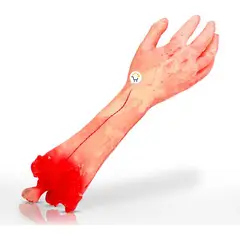 COMPRALOENCASA COM - Mano Falsa Realista Sangre Accesorio Disfraz Halloween MA01