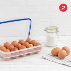 PORTAL DEL HOGAR - Almacenamiento Porta Huevos X15 Espacios Libre De Bpa