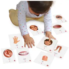 TOOL BE - Flash Cards Partes del Cuerpo