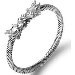 DAYOSHOP - Pulsera Dragòn Acero Inoxidable Ajustable Estuche