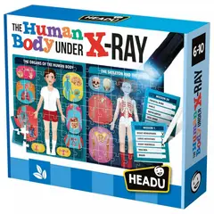 JUGANDO Y EDUCANDO - Rompecabezas El Cuerpo Humano Rayos X Juego STEM Niños Niñas