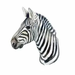 ADAZIO - Vinilo Decorativo Cebra Acuarela L - 70cm x 81cm (ancho x alto)