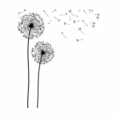 ADAZIO - Vinilo Decorativo Floral Diente León XS - 66cm x 80cm (ancho x alto)