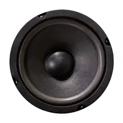 AVC - Parlante 5 Pulgadas 80 Watts 4 Ohms