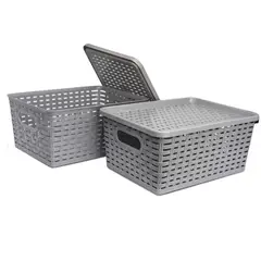 ENERGY PLUS - Set X2 Cajas organizadoras con tapa canasta mimbre plástico Gris