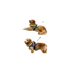 AFM - Arnes Antitirones Para Perros Varios Colores Tallas XXL