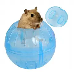 AFM - Rueda Bola Para Hámster Azul