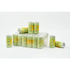 GENERICO - Soda de Gulupa Limón y Hierbabuena- Caja por 24 Unds
