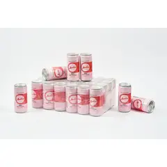 GENERICO - Soda de Corozo y Arándanos- Caja por 24 Unds