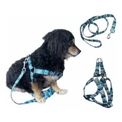 DIMATEX LEON - Arnés Correa para Mascota Perros Ref Tribal TALLA M