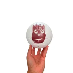 WILSON - Balón de Voleibol Mini AVP Castaway