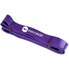 MIYAGI - Banda elástica de poder morado. banda resistencia