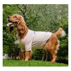 MARVEL - Camiseta para Mascota Avengers Hero Rosado Talla XL