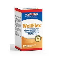 HEALTHY AMERICA - Wellflex Glucosamine Chondroitin X 120Cap -