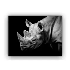 EKONOMODO COLOMBIA - Cuadro cara rinoceronte 70x50x5