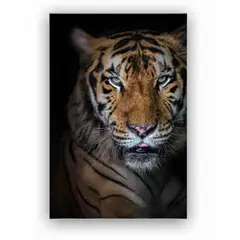 EKONOMODO COLOMBIA - Cuadro Cara Tigre Rafe 120X90X5