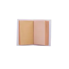 GENERICO - Laminas Faciales Papier Poudre Rachel X 65und