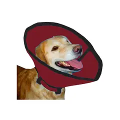 HALLY PET - Collar isabelino talla M Vinotinto.