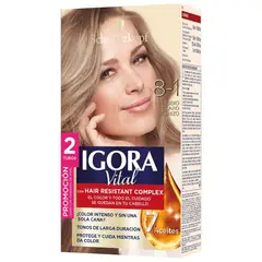 IGORA - Oferta Tinte Vital 8-1 Rubio Claro Cenizo