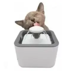 GENERICO - Fuente de agua para mascotas.