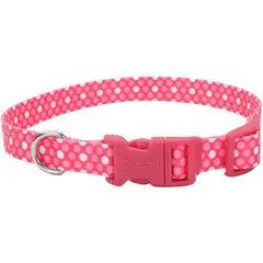 COASTAL - Collar Ajustable Perro Styles Polka Rosado Mini