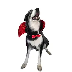 AMERICO SHOP - Disfraz de Mascota para Perro Grande Dracula Talla 5XL