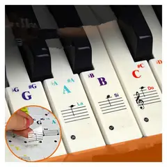GENERICO - Pegatinas para teclado de piano transparente beat