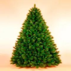 BURICA - Arbol Richmond 2.30 Mt Verde