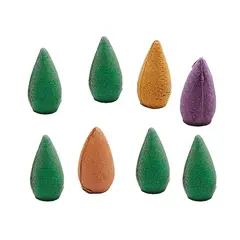 DAYOSHOP - Cactus Quemador Incienso Proteccion +cono De Incienso 0318
