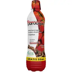 FITO MEDICS - Borochon potenciador con chontaduro y borojó 500ml