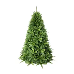 BURICA - Arbol Hamilton 2.25 Mt Verde