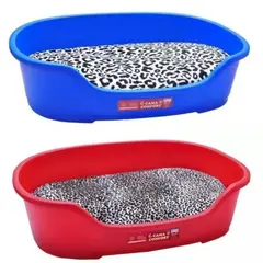 AFM - Cama Plástica Con Colchón Removible Obsequio