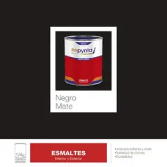 REPYNTA - ESMALTE NEGRO MATE CUARTO GALON