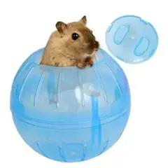 AFM - Bola Rueda Para Hámster