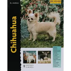 GENERICO - Chihuahua. Excellence