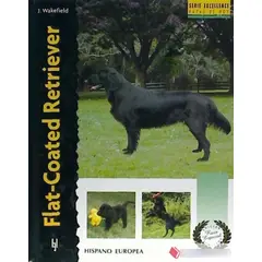 GENERICO - Flat-coated Retriever. Excellence