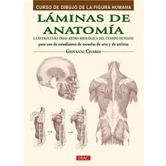 GENERICO - Láminas De Anatomía: La Estructura Óseo-artro-miológica