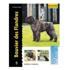 GENERICO - Bouvier Des Flandres. Excellence