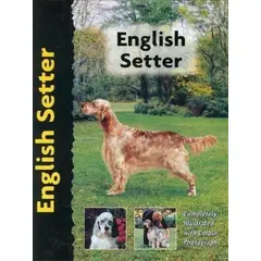GENERICO - Setter Ingles. Excellence
